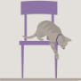 cat weary of jumping off a chair