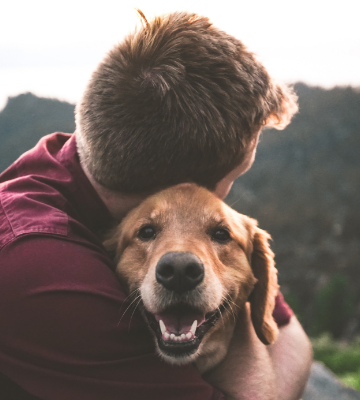 dog looking happy in it's owner's arms