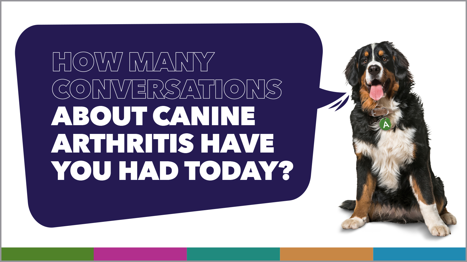 How many conversations about canine arthritis have you had today? Click to view the video